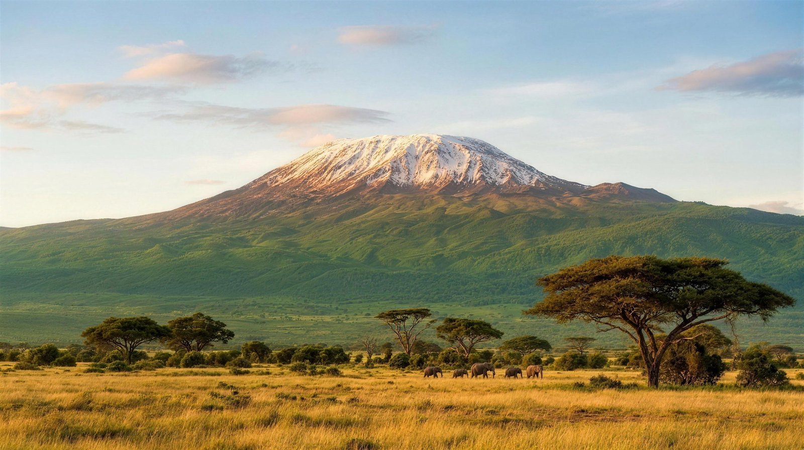 Say “I do” under an acacia tree — Golden Kit Tours & Safaris, Tanzania